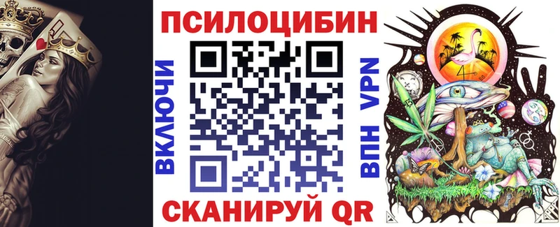 наркотики  Верхняя Тура  Галлюциногенные грибы Psilocybine cubensis 